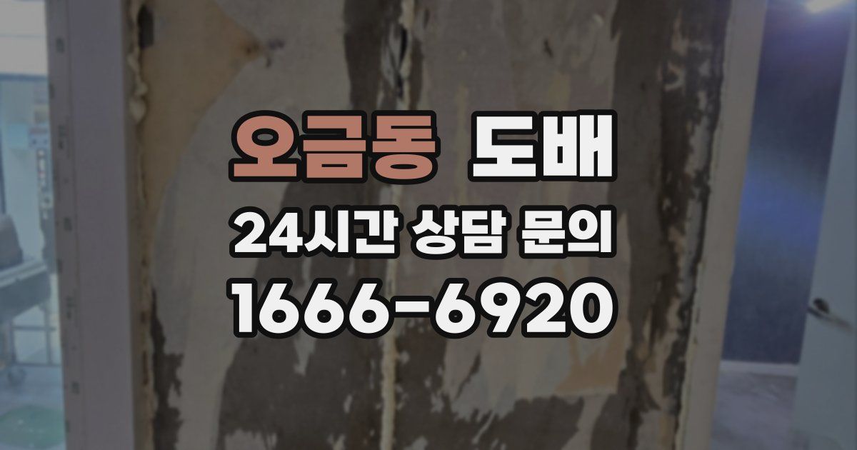 오금동 도배
