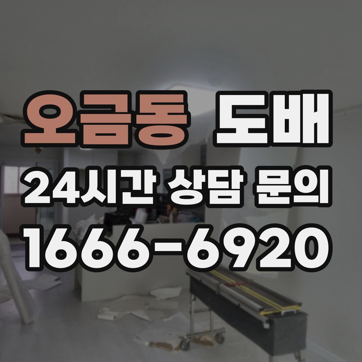 오금동 도배