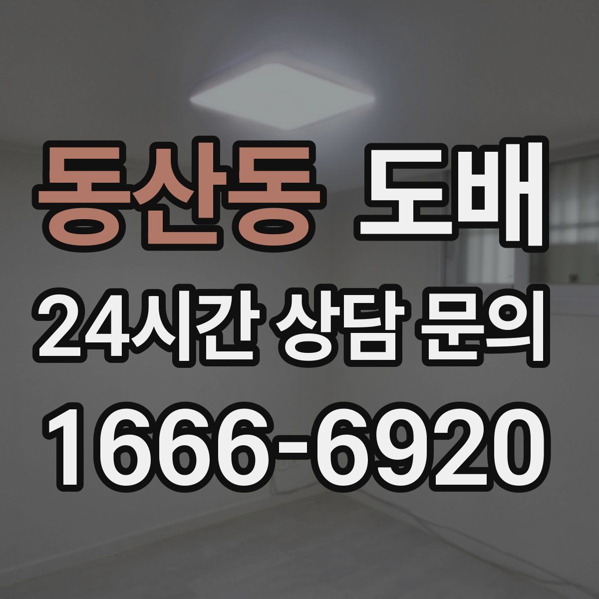 동산동 도배