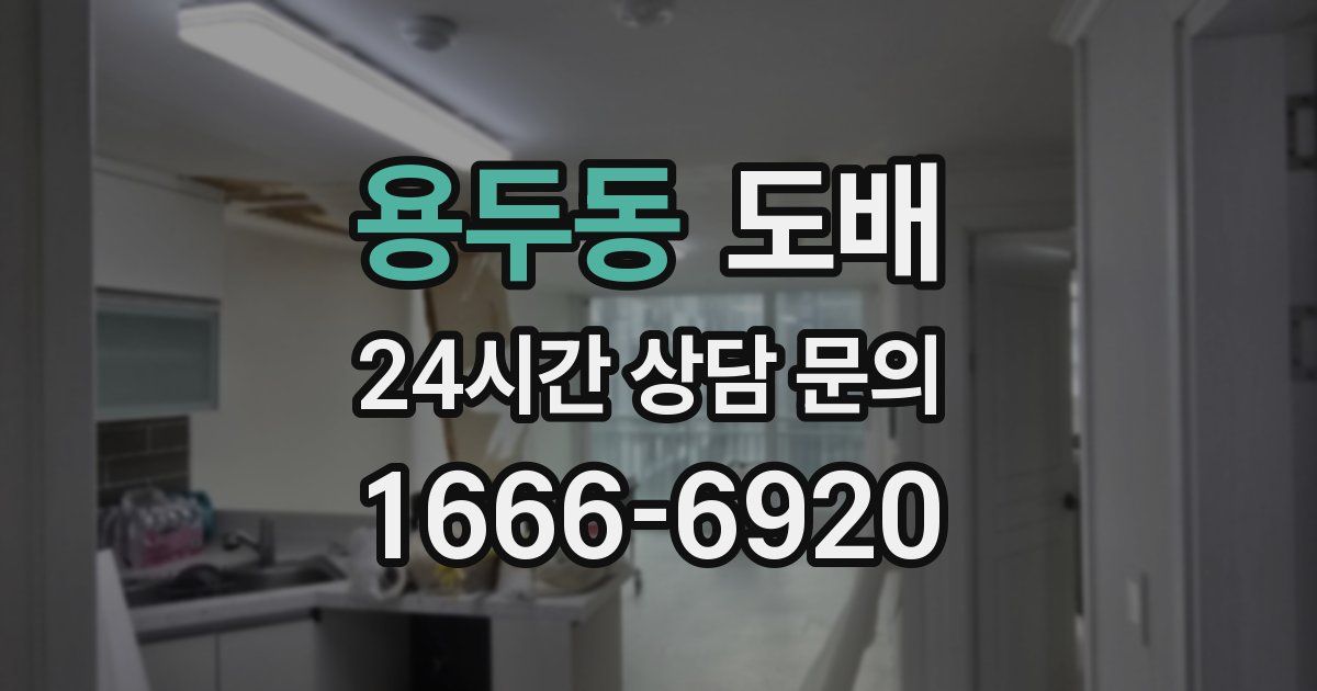 용두동 도배