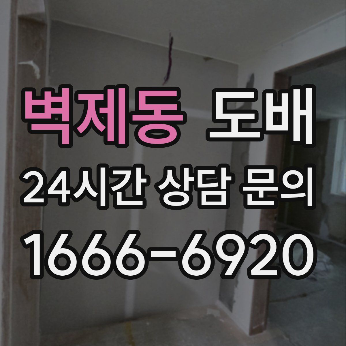 벽제동 도배