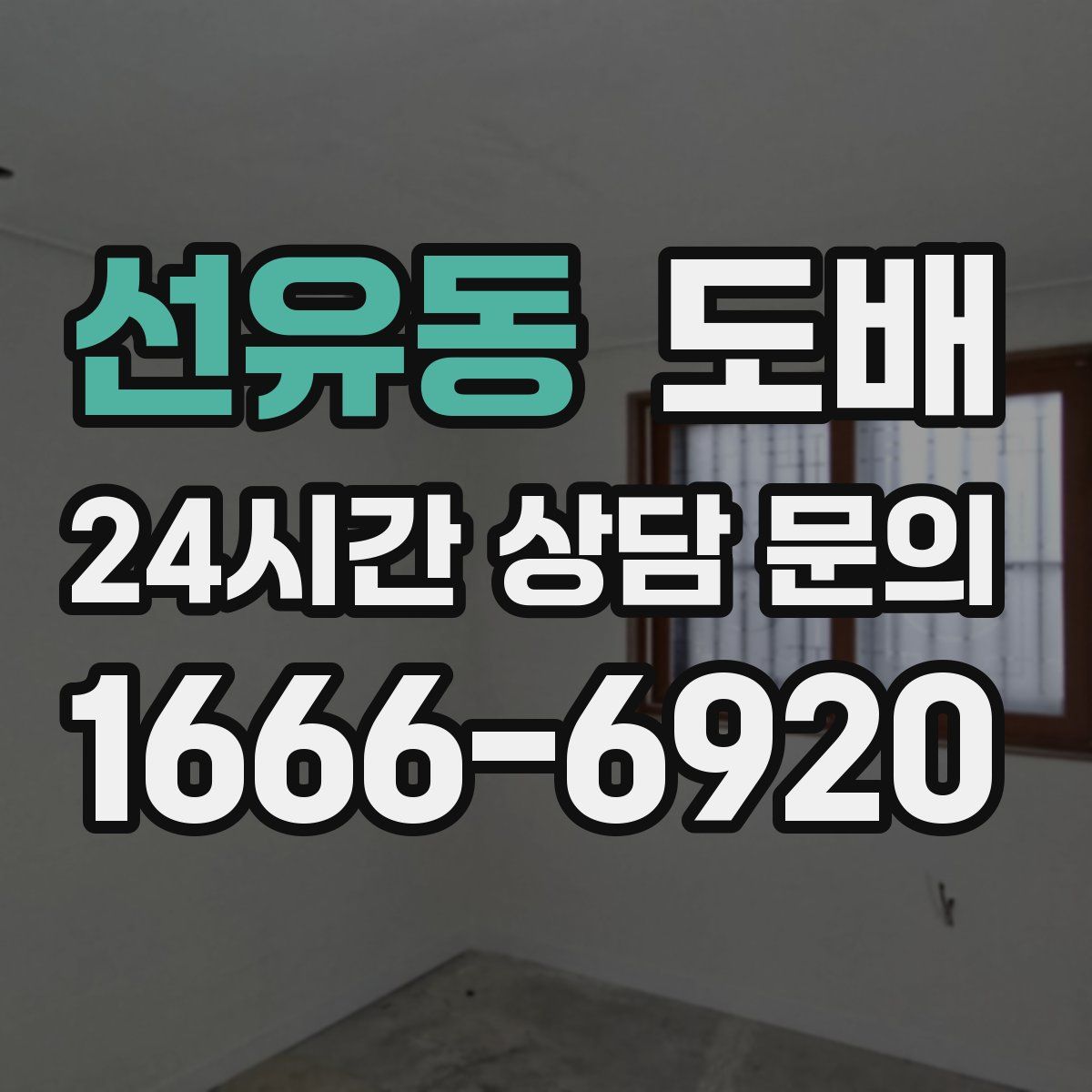 선유동 도배