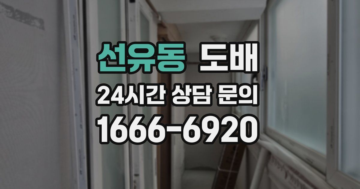 선유동 도배