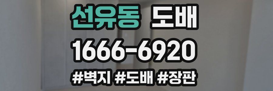 선유동 도배