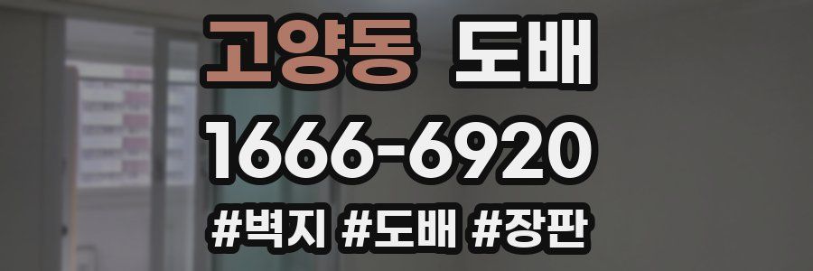 고양동 도배