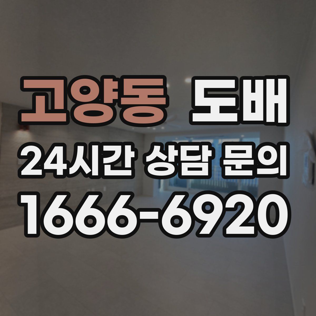 고양동 도배