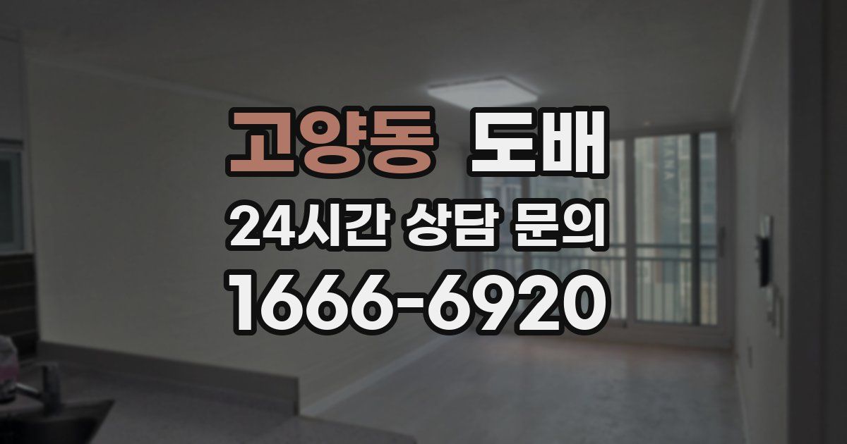 고양동 도배