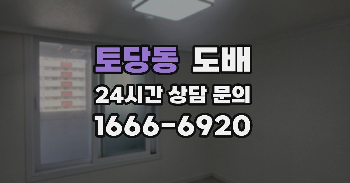 토당동 도배