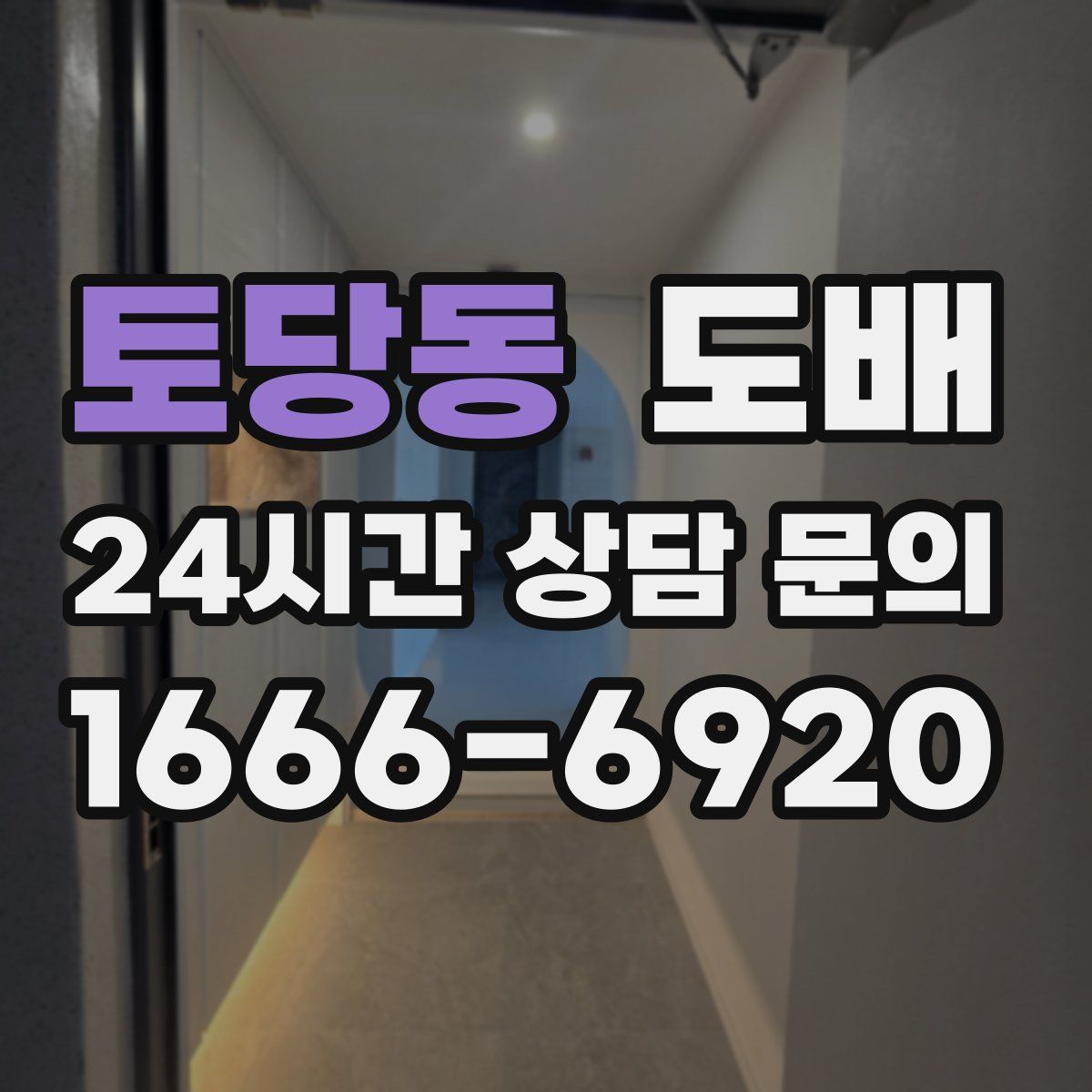 토당동 도배