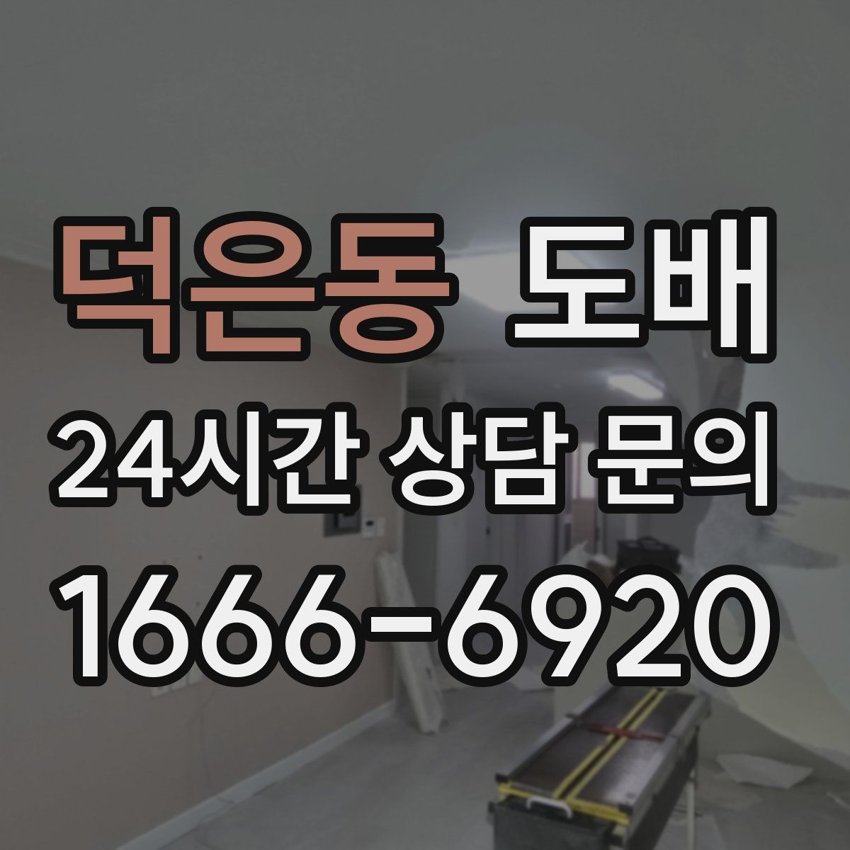 덕은동 도배
