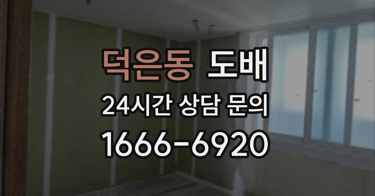 덕은동 도배