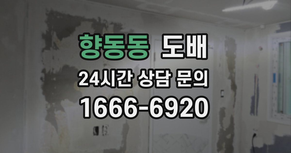 향동동 도배