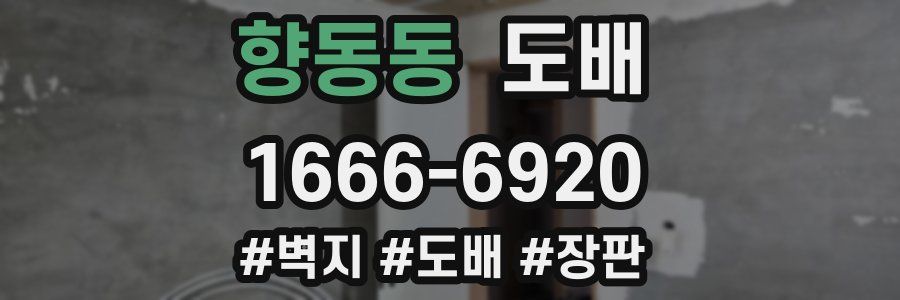 향동동 도배