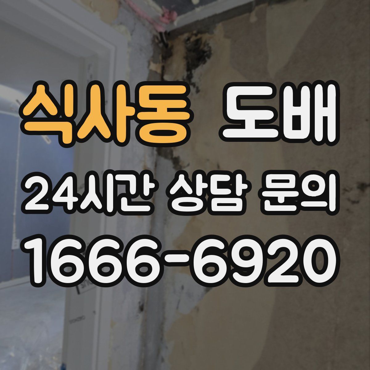 식사동 도배