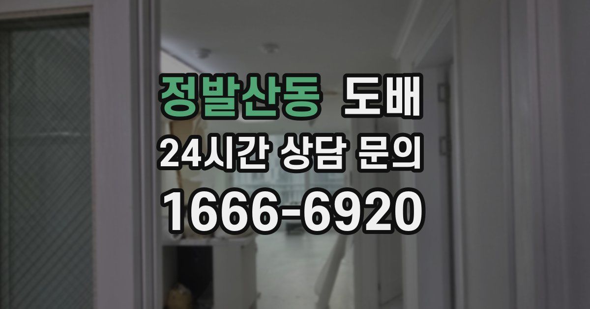 정발산동 도배