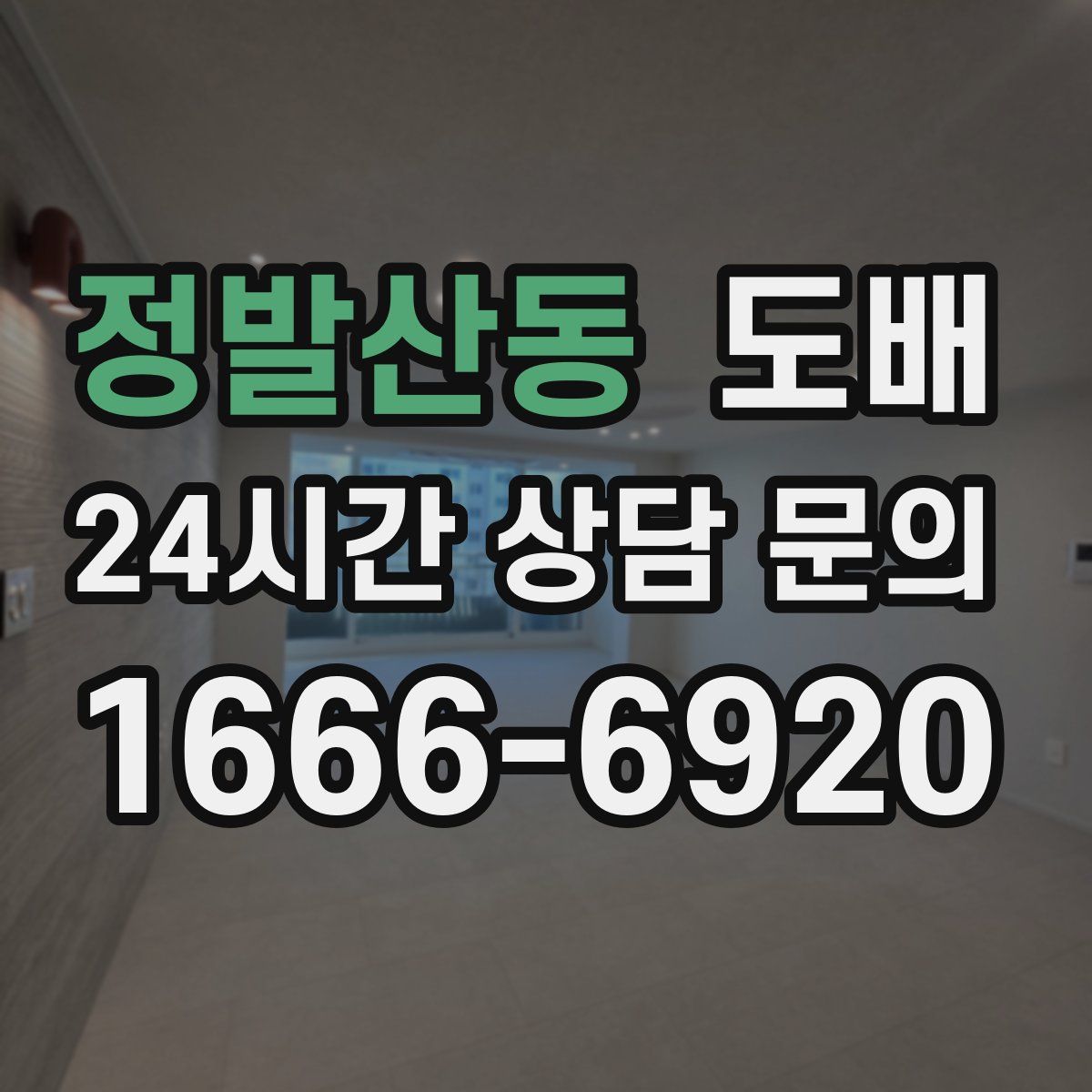 정발산동 도배