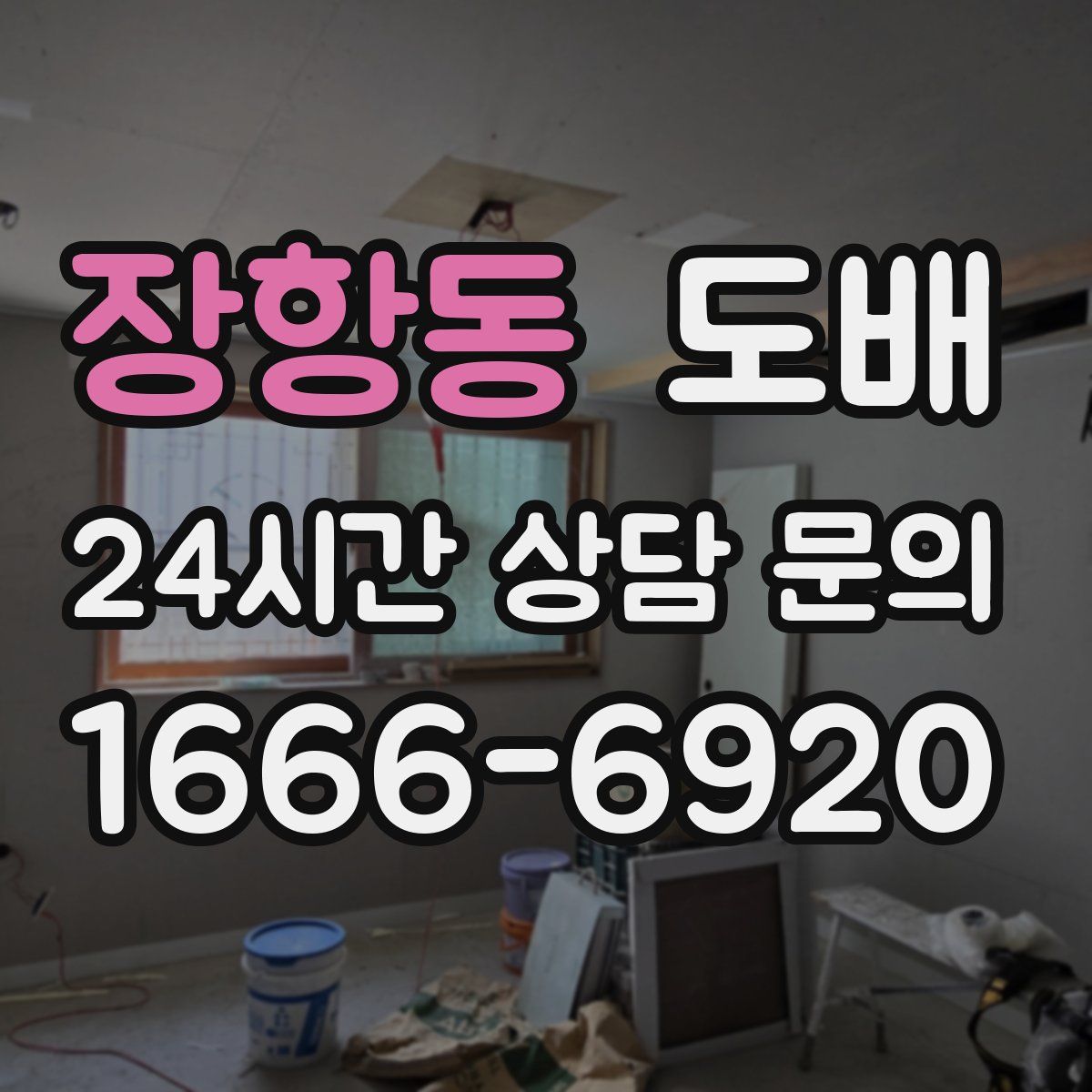 장항동 도배