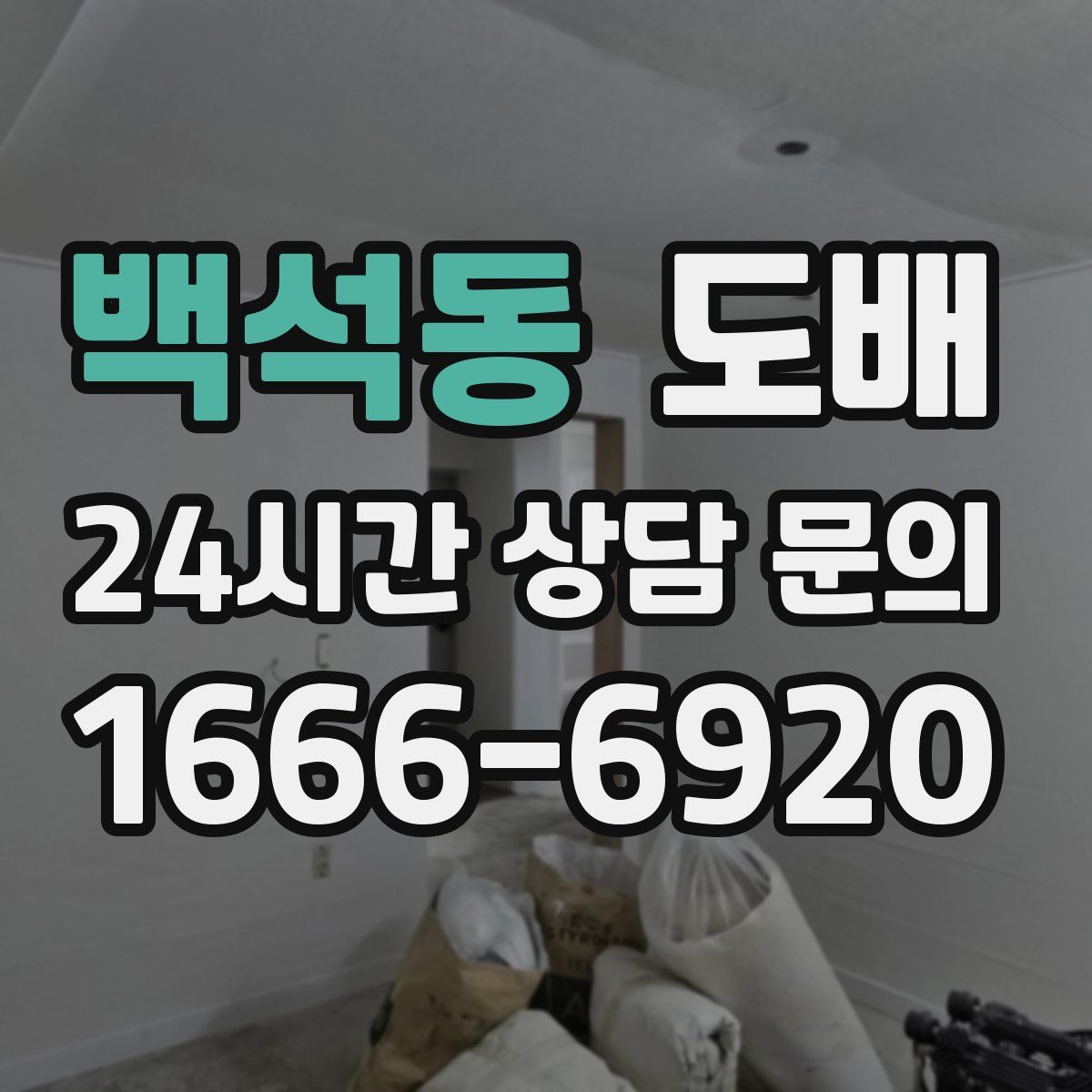 백석동 도배
