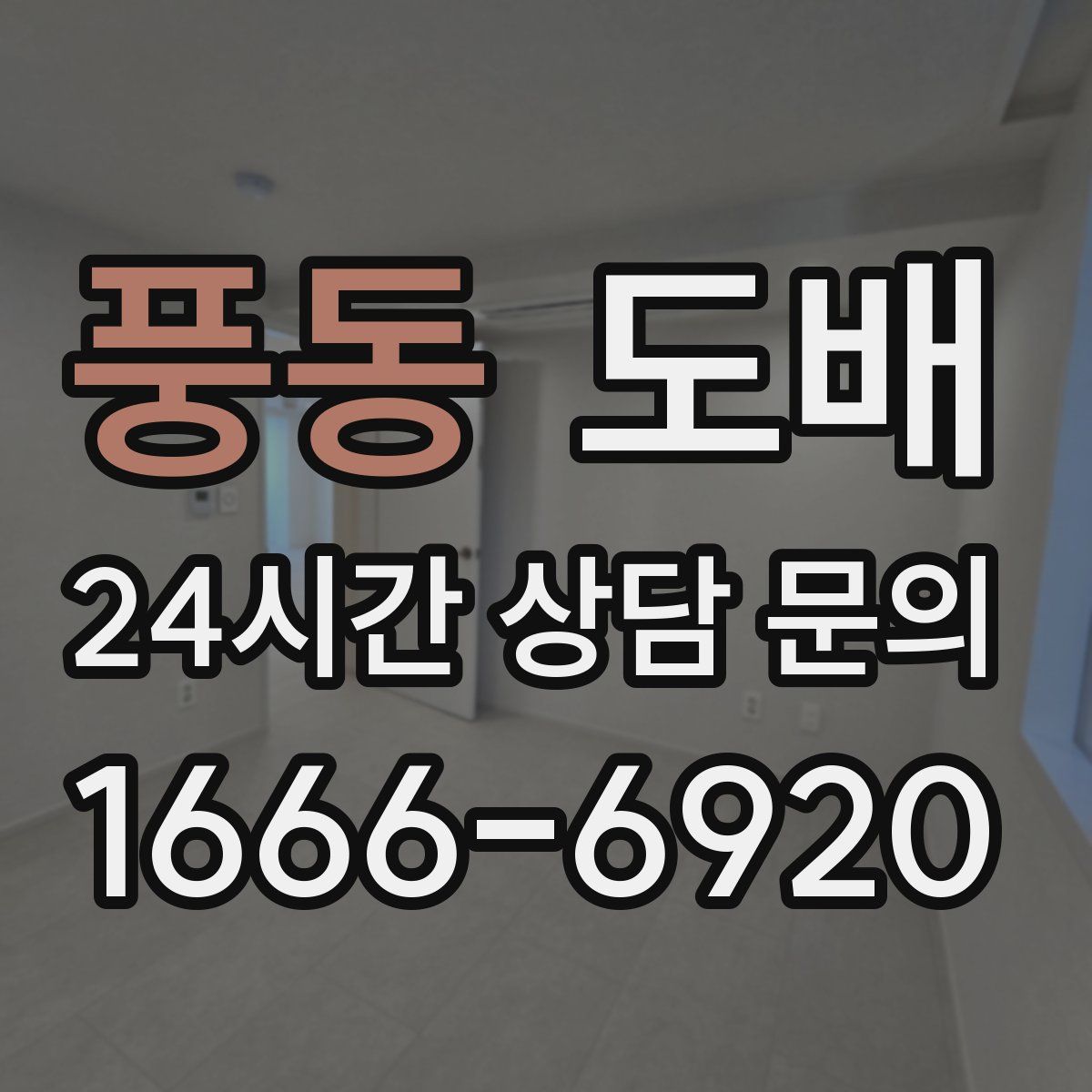 풍동 도배