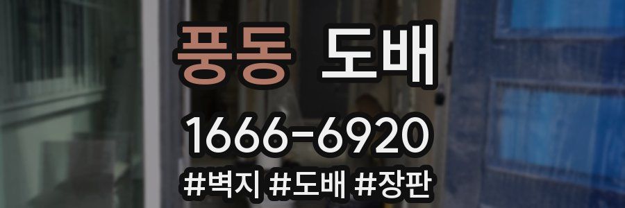 풍동 도배