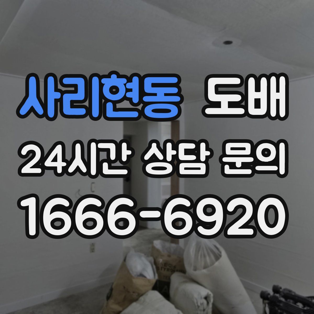 사리현동 도배