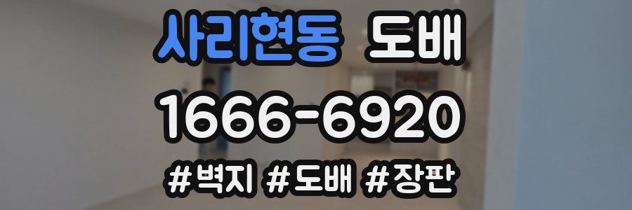 사리현동 도배