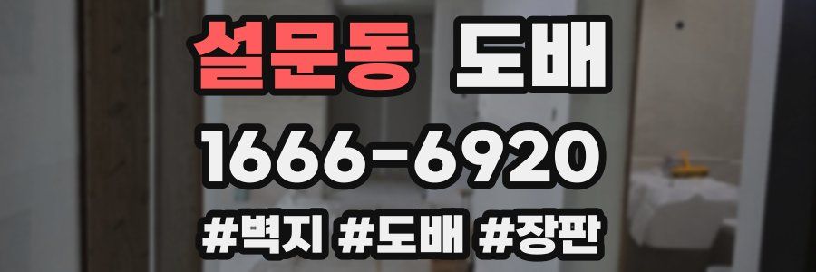 설문동 도배