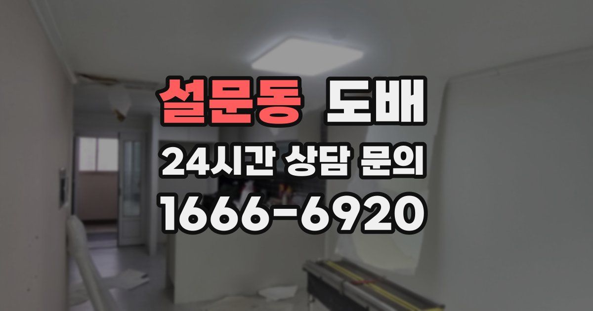 설문동 도배