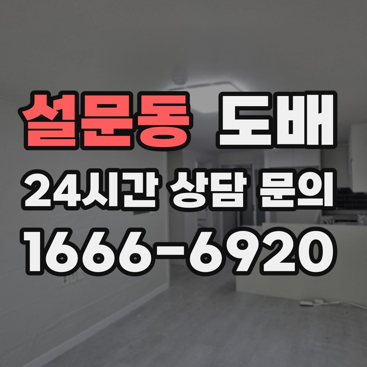 설문동 도배