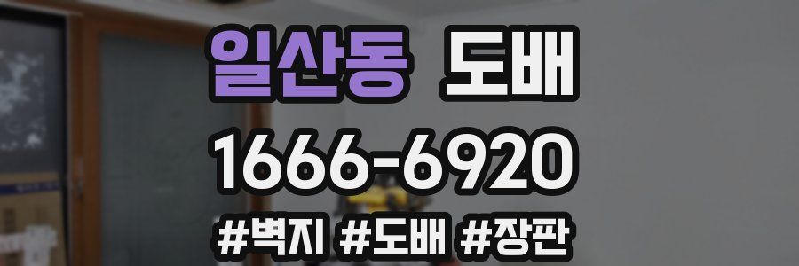 일산동 도배