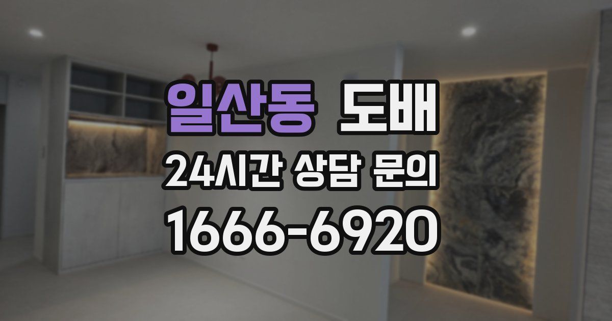 일산동 도배