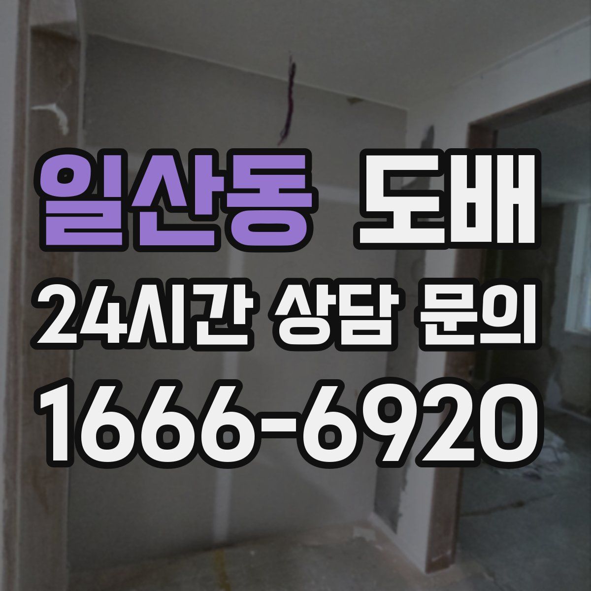 일산동 도배