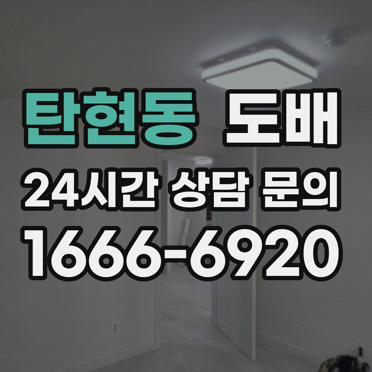 탄현동 도배