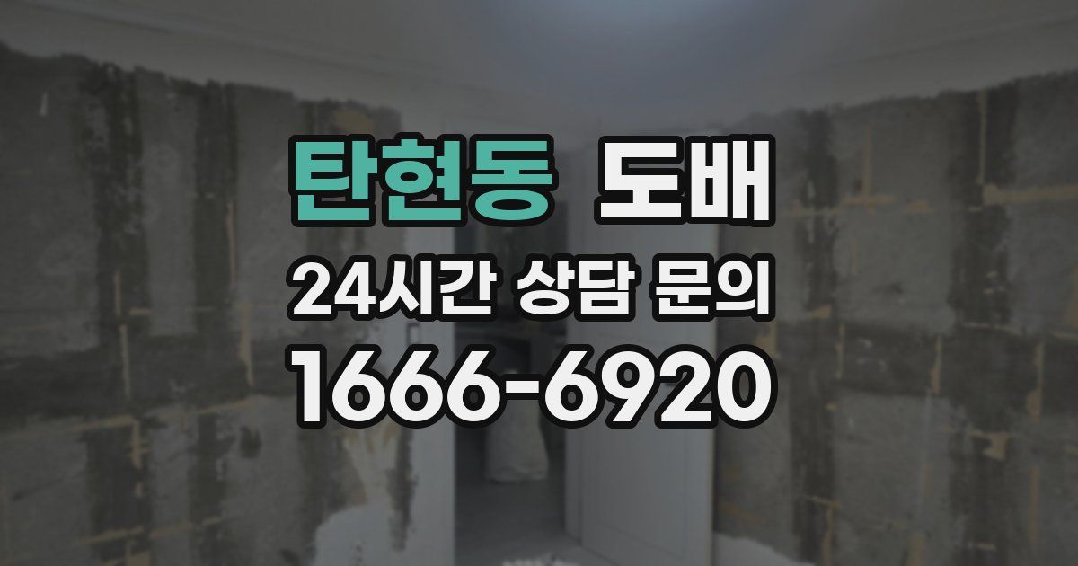 탄현동 도배