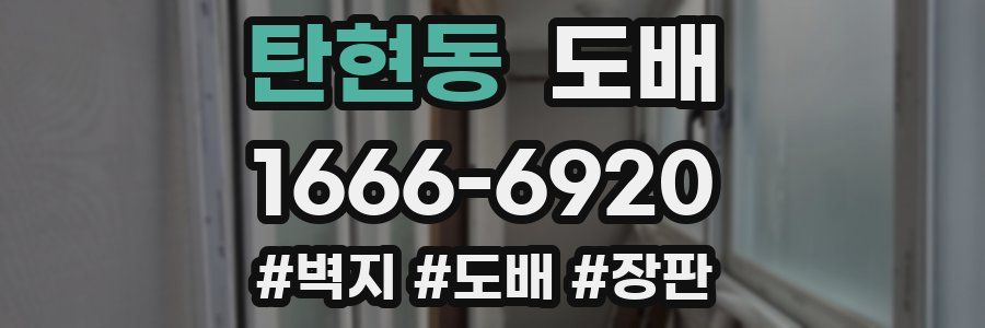 탄현동 도배