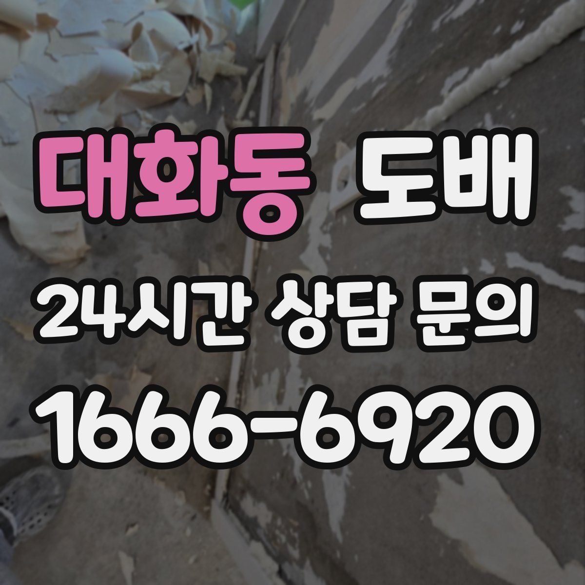 대화동 도배