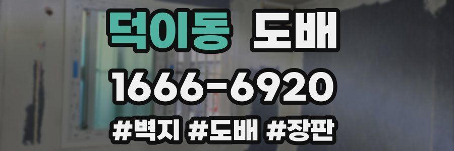 덕이동 도배