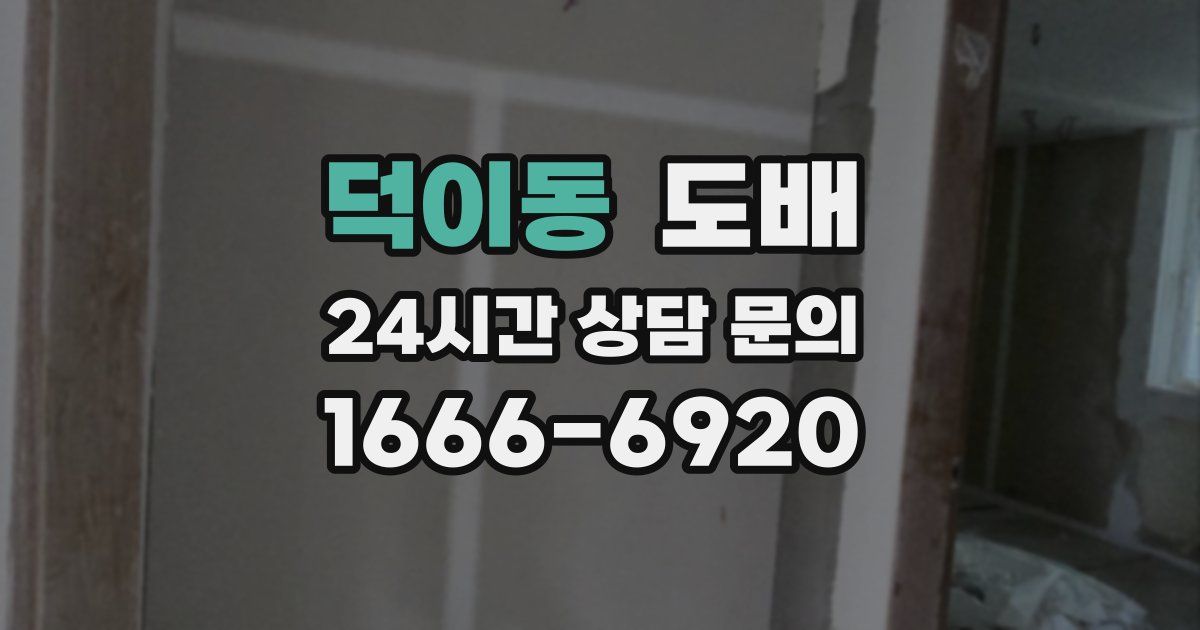 덕이동 도배