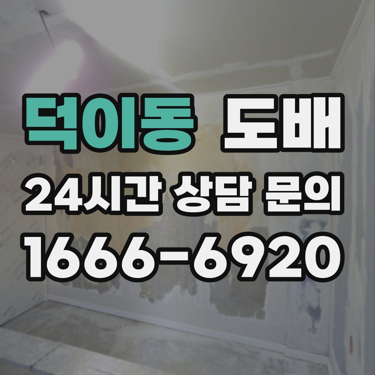 덕이동 도배