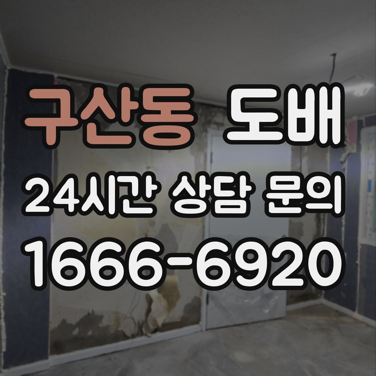 구산동 도배