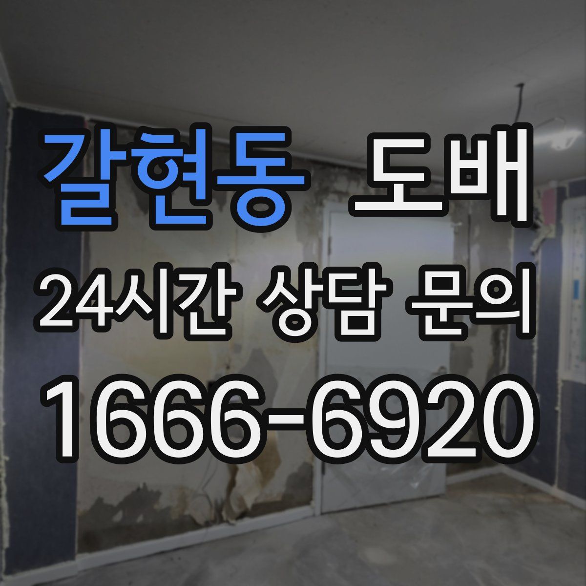 갈현동 도배