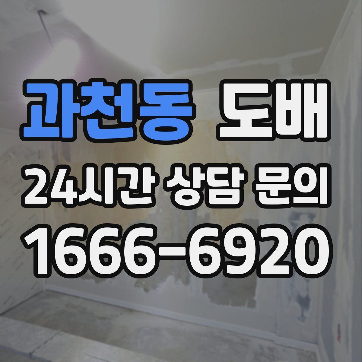 과천동 도배