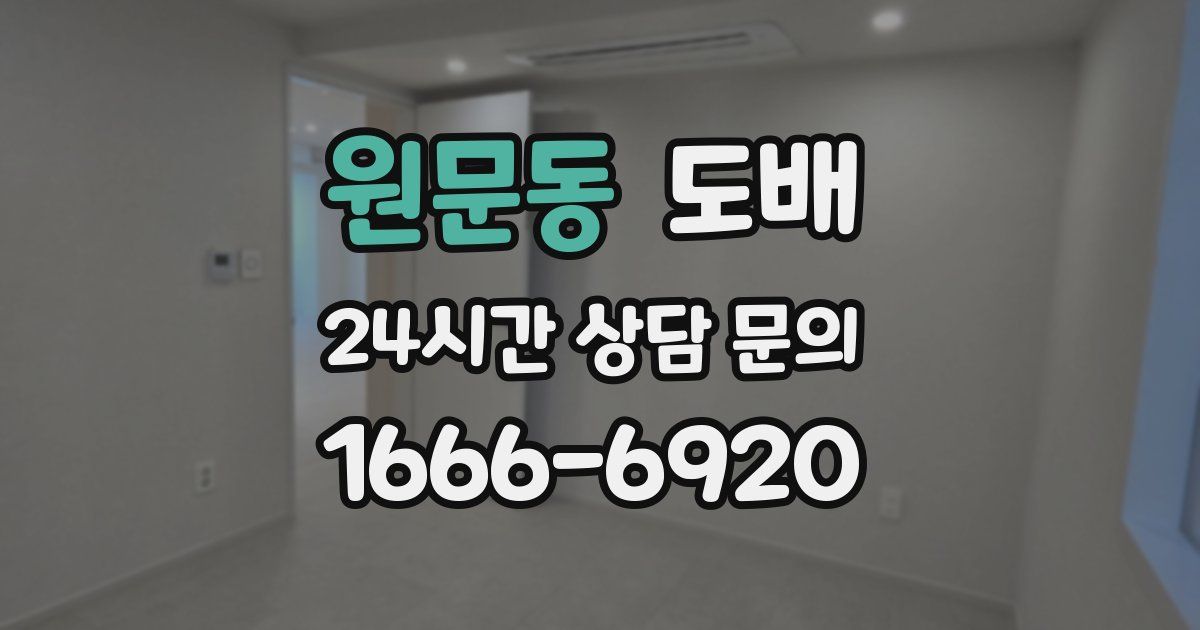 원문동 도배