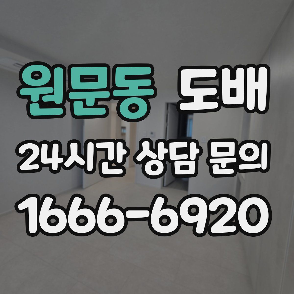 원문동 도배