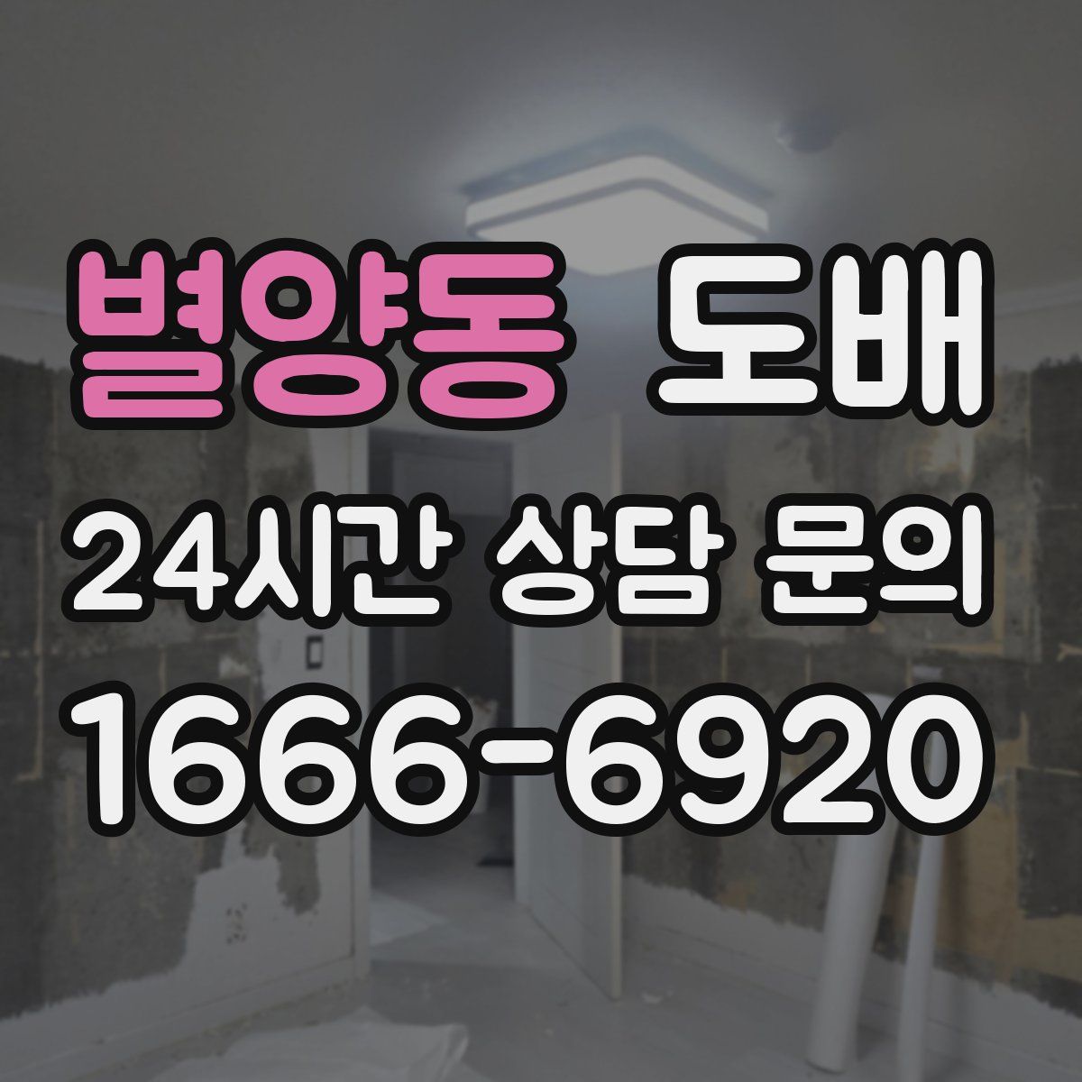 별양동 도배