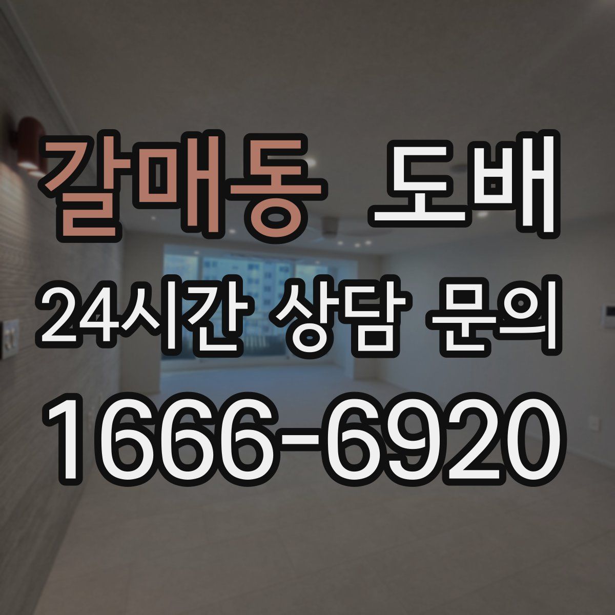 갈매동 도배