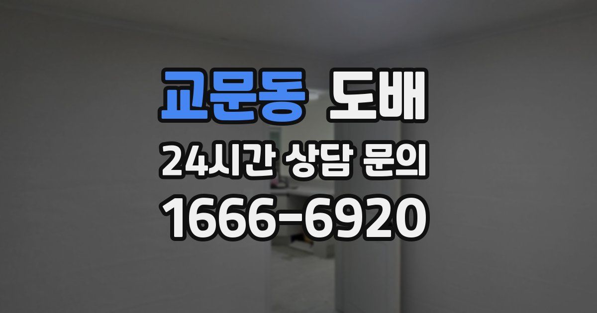 교문동 도배