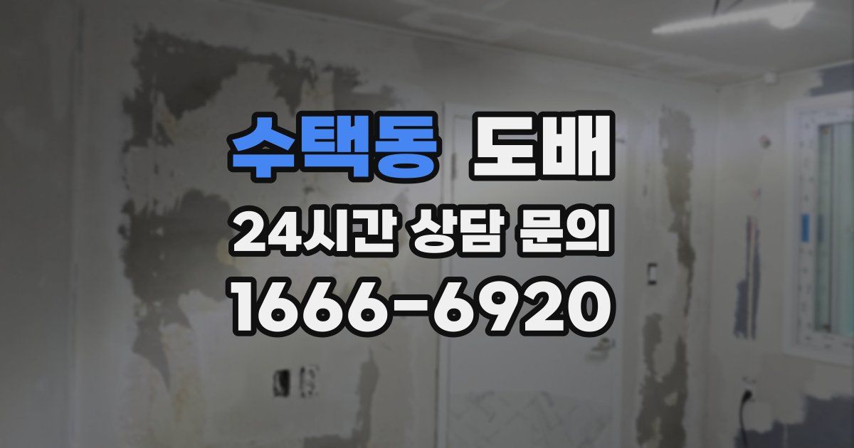 수택동 도배