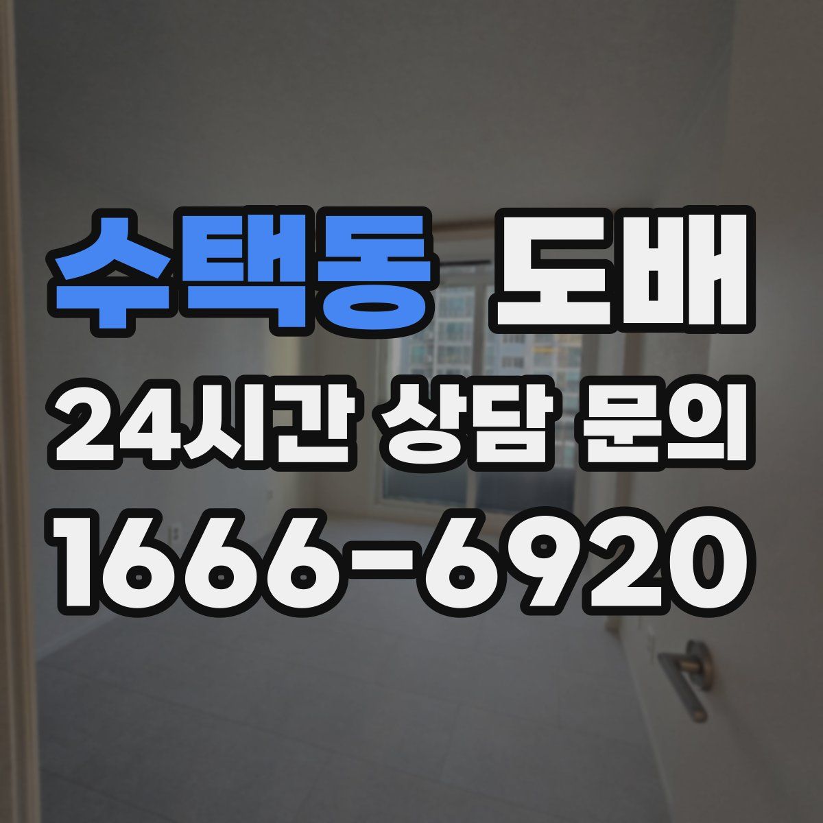 수택동 도배