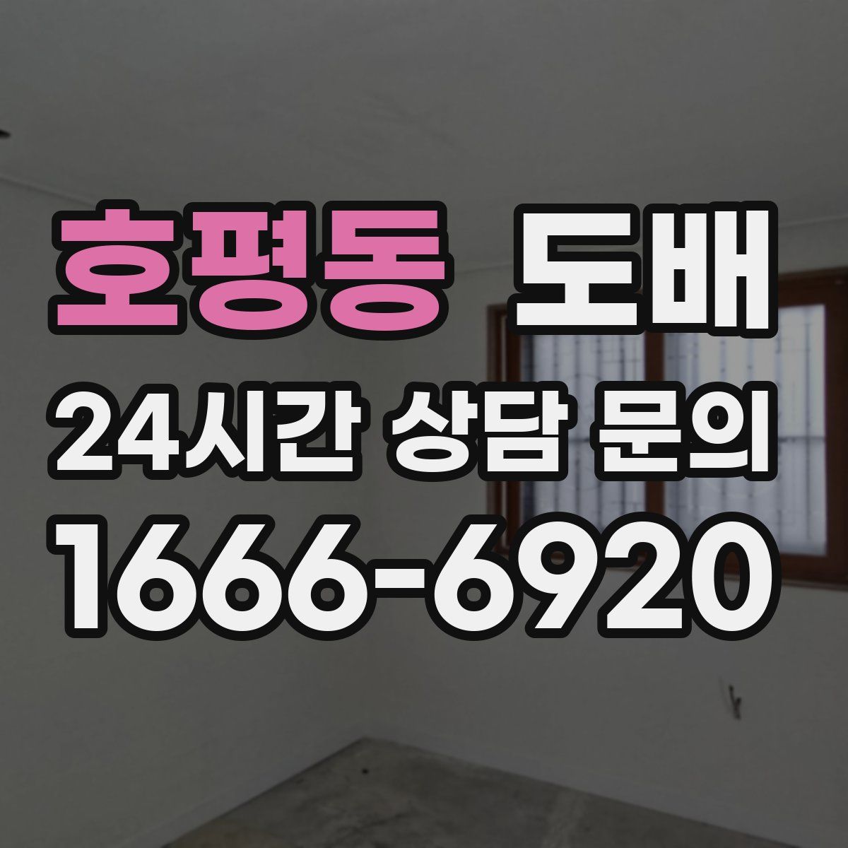 호평동 도배